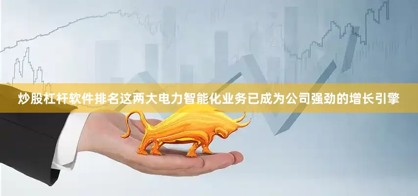 炒股杠杆软件排名这两大电力智能化业务已成为公司强劲的增长引擎