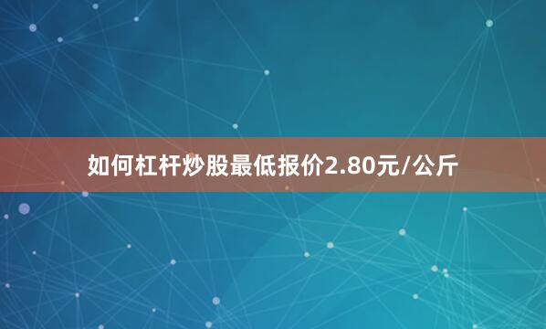 如何杠杆炒股最低报价2.80元/公斤