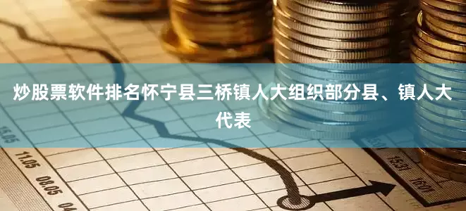 炒股票软件排名怀宁县三桥镇人大组织部分县、镇人大代表