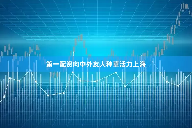 第一配资向中外友人种草活力上海